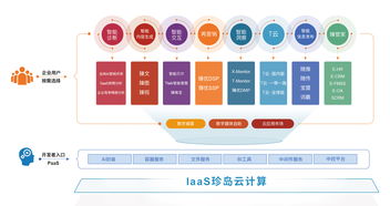 喜報 珍島榮膺2019上海軟件和信息技術(shù)服務(wù)業(yè)百強(qiáng)人工智能基礎(chǔ)軟件開發(fā)殊榮